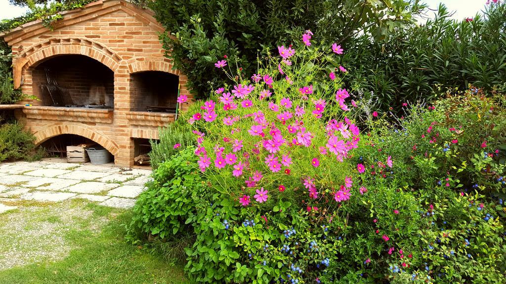 Podere Cunina Buonconvento Εξωτερικό φωτογραφία
