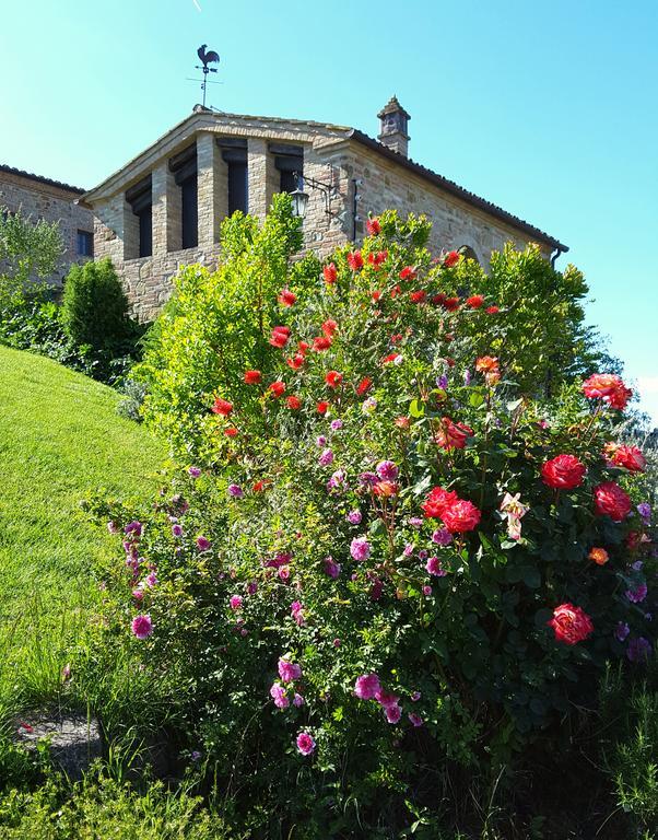 Podere Cunina Buonconvento Εξωτερικό φωτογραφία